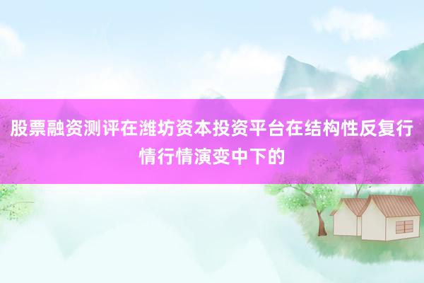 股票融资测评在潍坊资本投资平台在结构性反复行情行情演变中下的