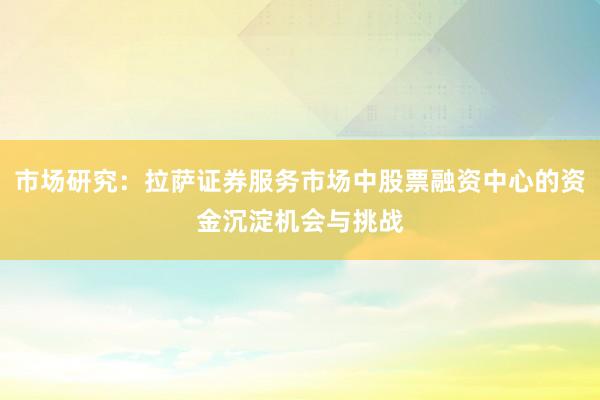 市场研究：拉萨证券服务市场中股票融资中心的资金沉淀机会与挑战