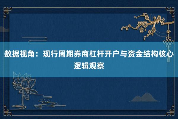 数据视角：现行周期券商杠杆开户与资金结构核心逻辑观察