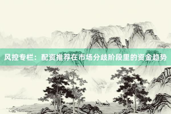 风控专栏：配资推荐在市场分歧阶段里的资金趋势