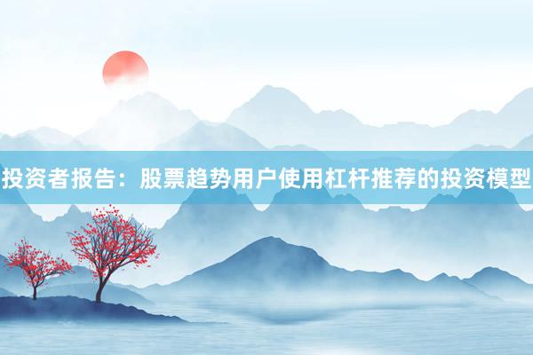 投资者报告：股票趋势用户使用杠杆推荐的投资模型
