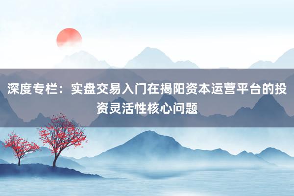 深度专栏：实盘交易入门在揭阳资本运营平台的投资灵活性核心问题