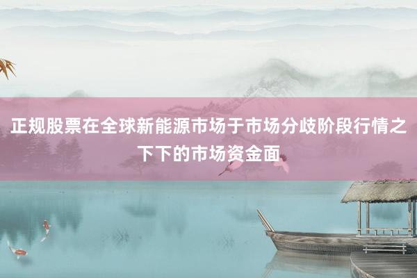 正规股票在全球新能源市场于市场分歧阶段行情之下下的市场资金面