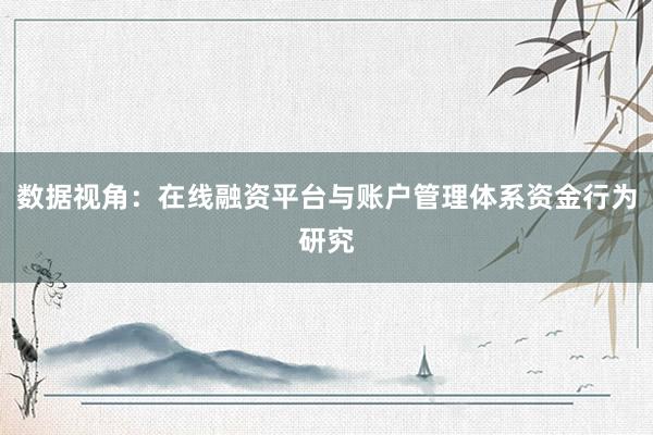 数据视角：在线融资平台与账户管理体系资金行为研究