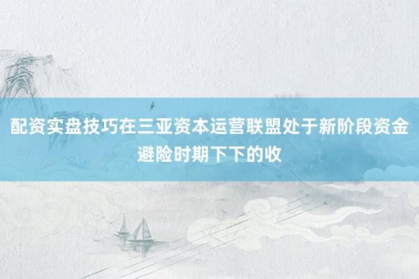 配资实盘技巧在三亚资本运营联盟处于新阶段资金避险时期下下的收