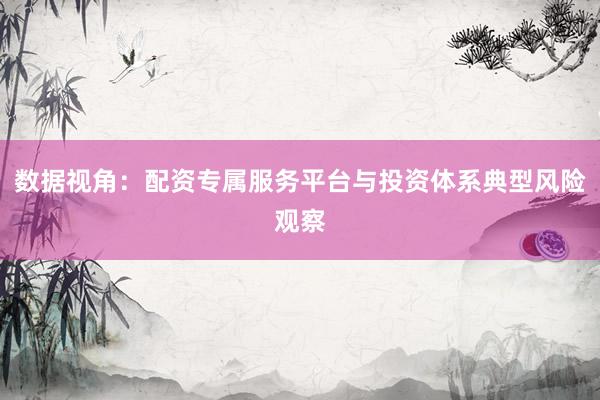 数据视角：配资专属服务平台与投资体系典型风险观察