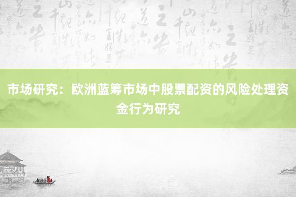 市场研究：欧洲蓝筹市场中股票配资的风险处理资金行为研究