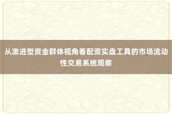 从激进型资金群体视角看配资实盘工具的市场流动性交易系统观察