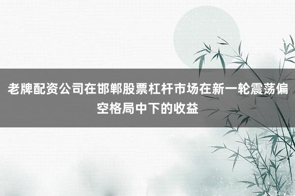 老牌配资公司在邯郸股票杠杆市场在新一轮震荡偏空格局中下的收益