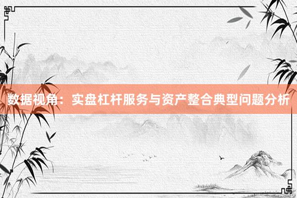 数据视角：实盘杠杆服务与资产整合典型问题分析