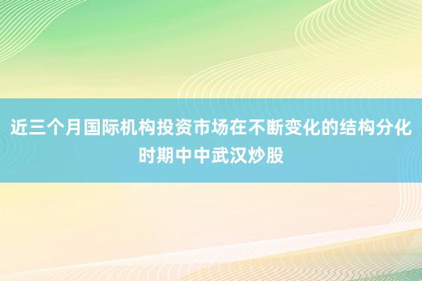 近三个月国际机构投资市场在不断变化的结构分化时期中中武汉炒股