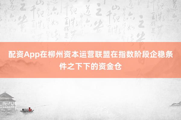 配资App在柳州资本运营联盟在指数阶段企稳条件之下下的资金仓