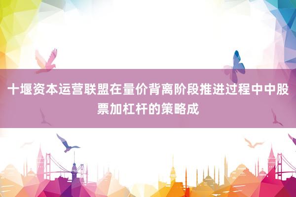 十堰资本运营联盟在量价背离阶段推进过程中中股票加杠杆的策略成
