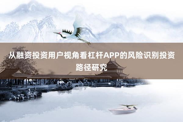 从融资投资用户视角看杠杆APP的风险识别投资路径研究