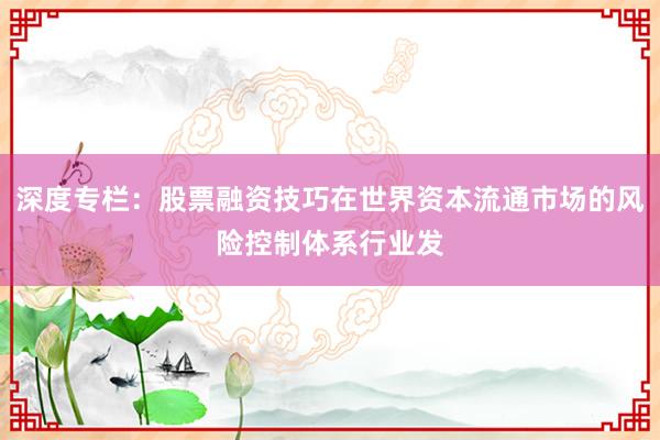 深度专栏：股票融资技巧在世界资本流通市场的风险控制体系行业发