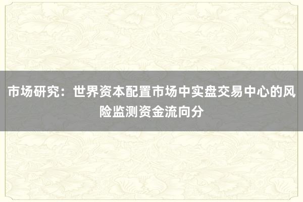 市场研究：世界资本配置市场中实盘交易中心的风险监测资金流向分