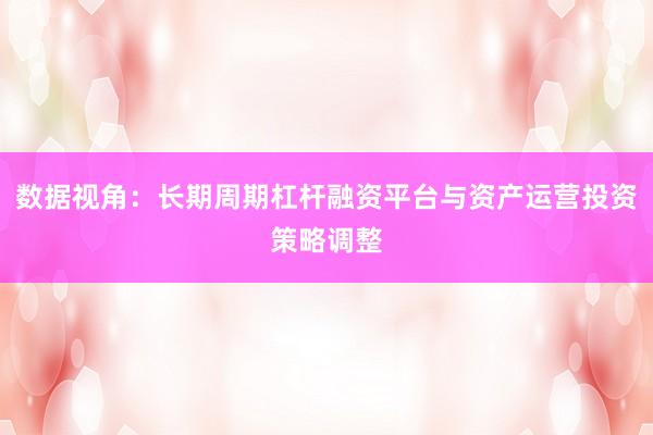 数据视角：长期周期杠杆融资平台与资产运营投资策略调整