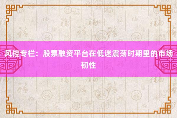 风控专栏：股票融资平台在低迷震荡时期里的市场韧性