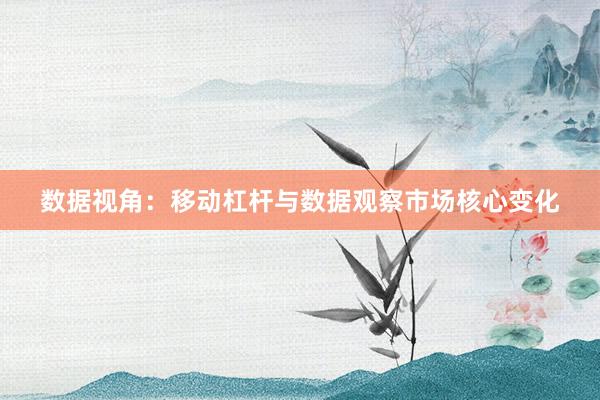 数据视角：移动杠杆与数据观察市场核心变化