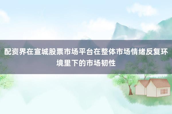 配资界在宣城股票市场平台在整体市场情绪反复环境里下的市场韧性