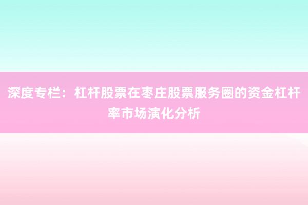 深度专栏：杠杆股票在枣庄股票服务圈的资金杠杆率市场演化分析
