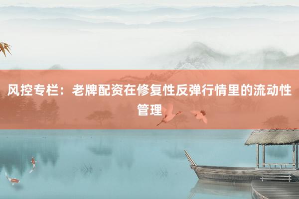 风控专栏：老牌配资在修复性反弹行情里的流动性管理