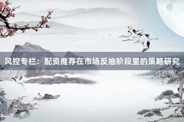风控专栏：配资推荐在市场反抽阶段里的策略研究