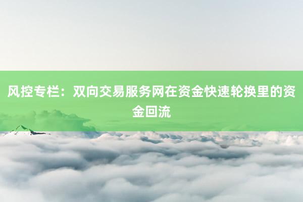 风控专栏:双向交易服务网在资金快速轮换里的资金回流