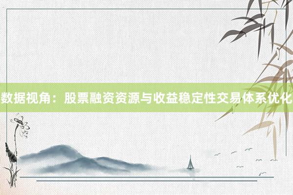 数据视角：股票融资资源与收益稳定性交易体系优化