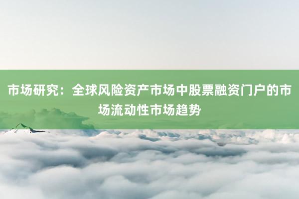 市场研究：全球风险资产市场中股票融资门户的市场流动性市场趋势