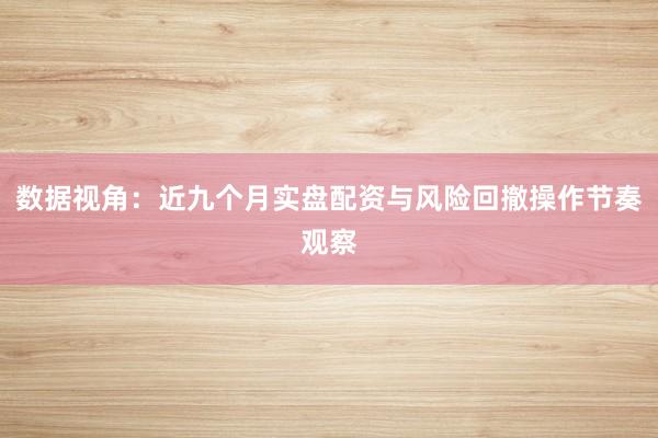 数据视角：近九个月实盘配资与风险回撤操作节奏观察