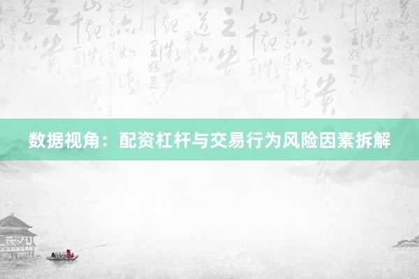 数据视角：配资杠杆与交易行为风险因素拆解