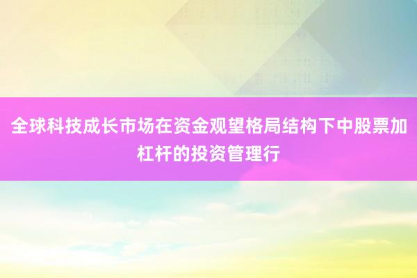全球科技成长市场在资金观望格局结构下中股票加杠杆的投资管理行