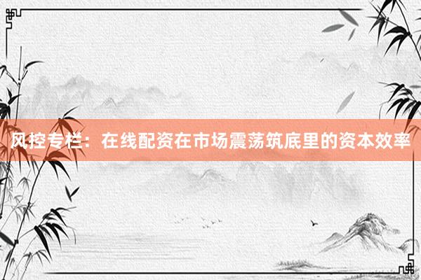 风控专栏：在线配资在市场震荡筑底里的资本效率