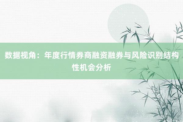 数据视角：年度行情券商融资融券与风险识别结构性机会分析