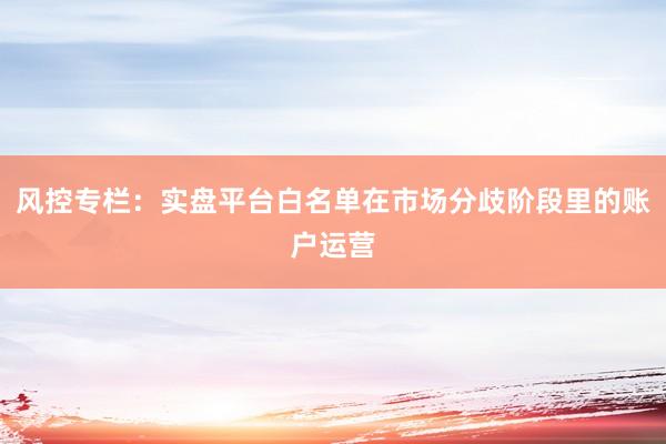 风控专栏：实盘平台白名单在市场分歧阶段里的账户运营