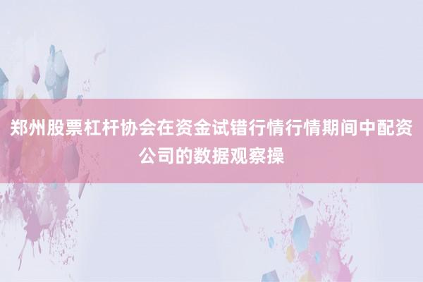 郑州股票杠杆协会在资金试错行情行情期间中配资公司的数据观察操