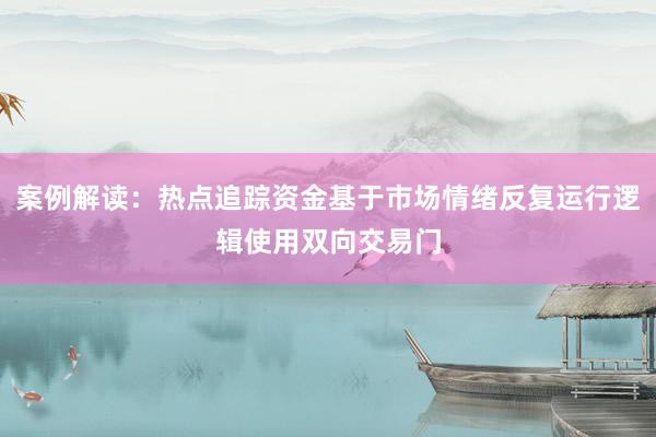 案例解读：热点追踪资金基于市场情绪反复运行逻辑使用双向交易门