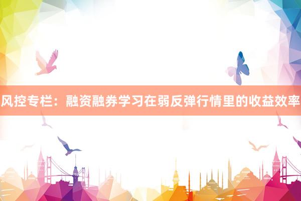 风控专栏：融资融券学习在弱反弹行情里的收益效率