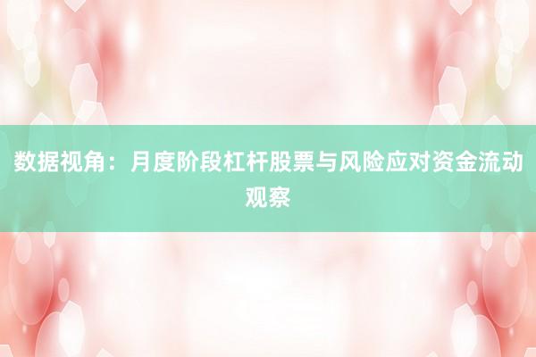 数据视角：月度阶段杠杆股票与风险应对资金流动观察