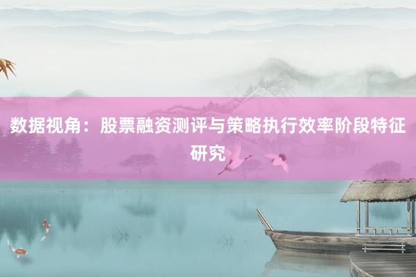 数据视角：股票融资测评与策略执行效率阶段特征研究