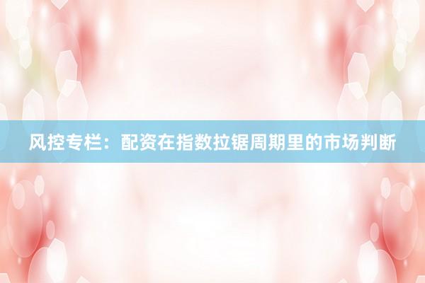 风控专栏：配资在指数拉锯周期里的市场判断