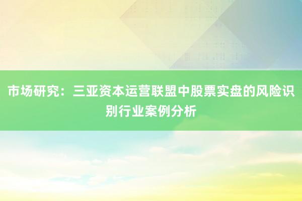 市场研究：三亚资本运营联盟中股票实盘的风险识别行业案例分析
