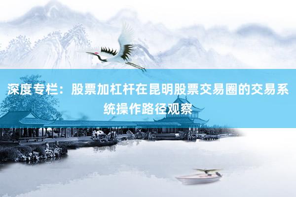 深度专栏：股票加杠杆在昆明股票交易圈的交易系统操作路径观察