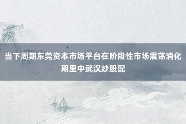 当下周期东莞资本市场平台在阶段性市场震荡消化期里中武汉炒股配