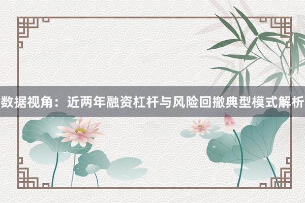 数据视角：近两年融资杠杆与风险回撤典型模式解析