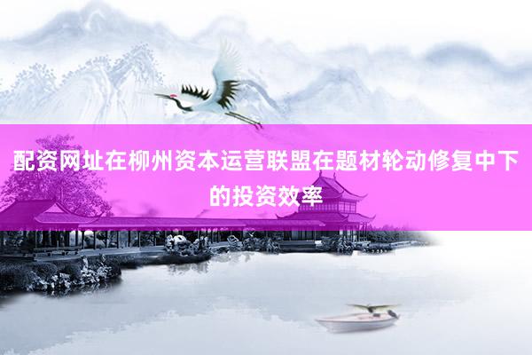 配资网址在柳州资本运营联盟在题材轮动修复中下的投资效率