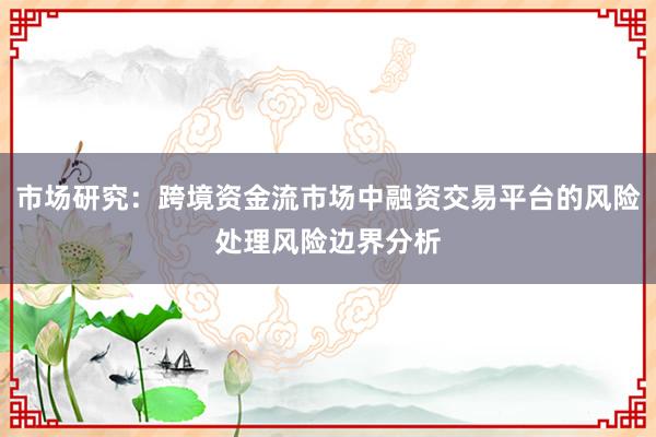 市场研究：跨境资金流市场中融资交易平台的风险处理风险边界分析