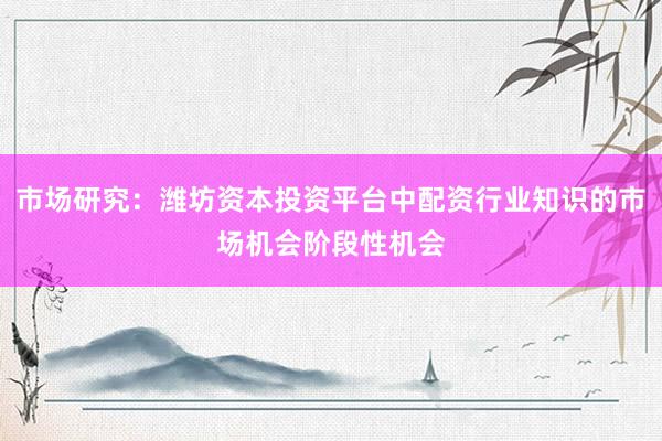 市场研究：潍坊资本投资平台中配资行业知识的市场机会阶段性机会