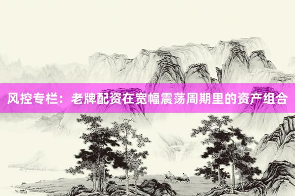 风控专栏：老牌配资在宽幅震荡周期里的资产组合